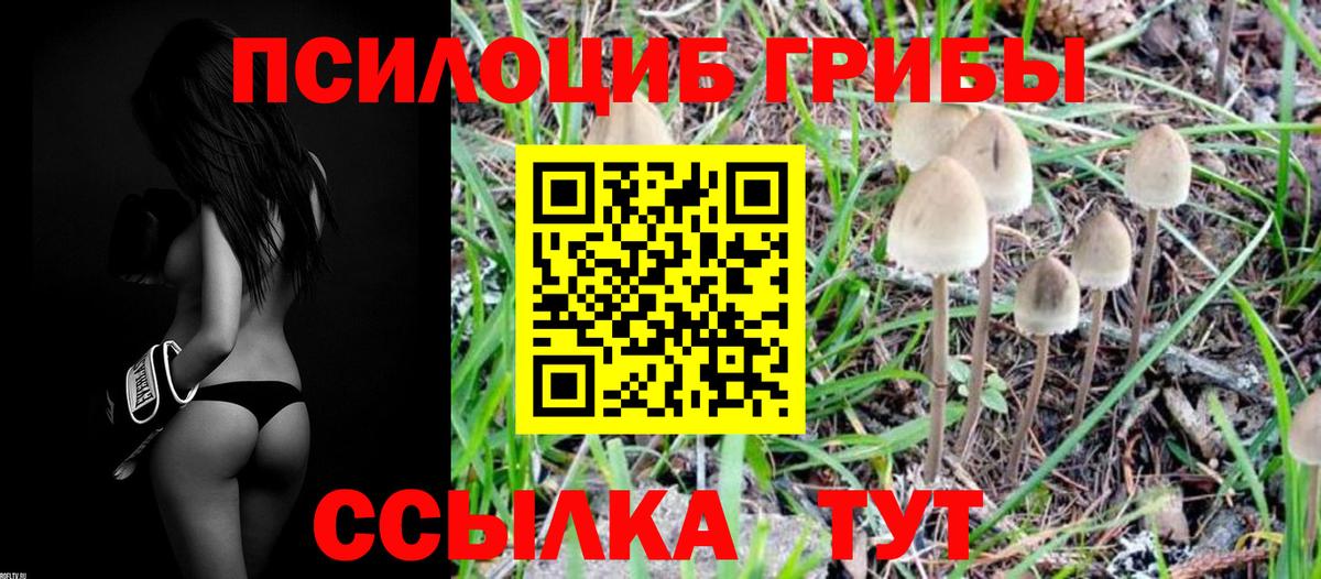 Галлюциногенные грибы прущие грибы Тихорецк