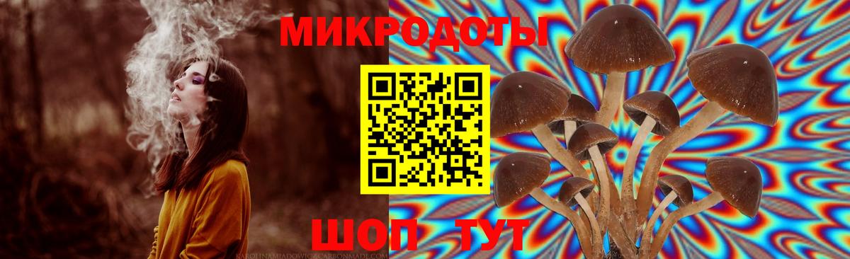 Псилоцибиновые грибы ЛСД  Вход с VPN  Тихорецк 